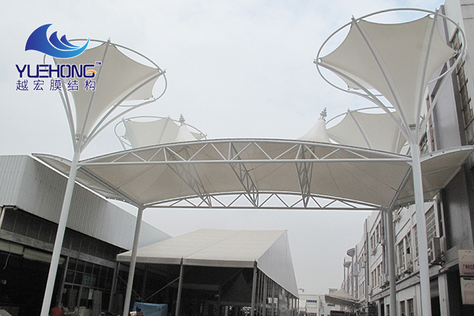 �|�\��˾�T��Ĥ�Y��