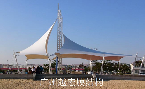 ��2019���Ĥ�Y���r��߀���^�m׃�ӿ�����