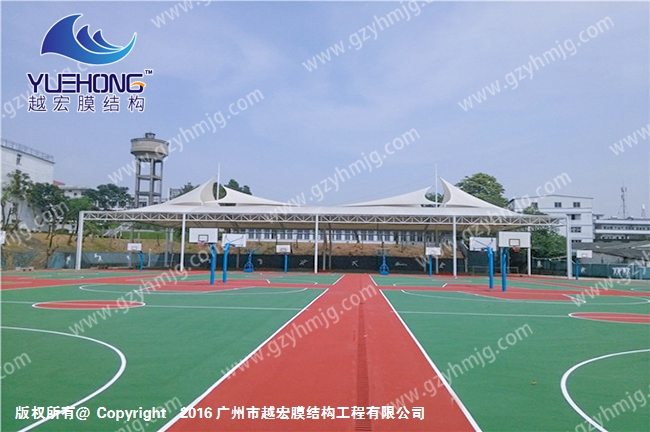 1595320277281383.jpg 1 (21).jpg